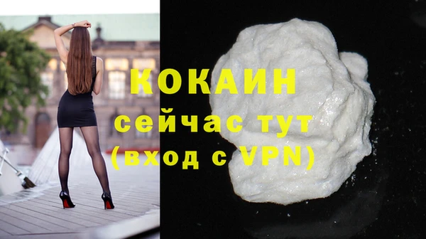 индика Киренск