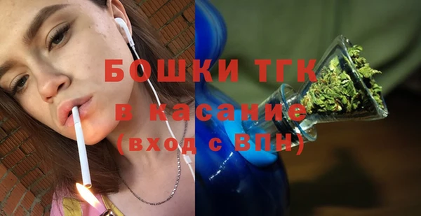 индика Киренск