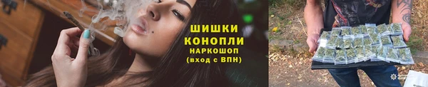 молекула духа Ельня