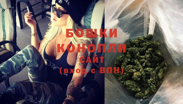 индика Киренск