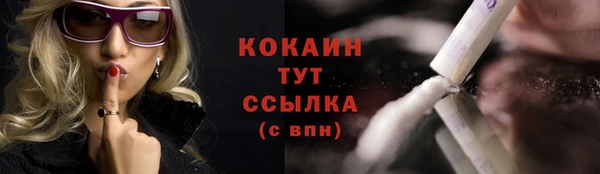 твердый Кинешма