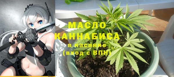 индика Киренск