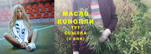 индика Киренск