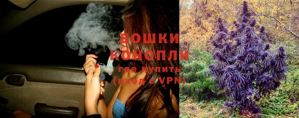 индика Киренск