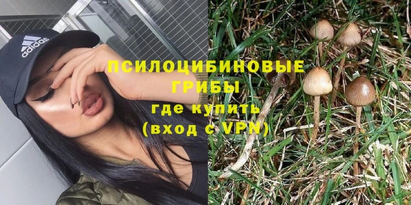 твердый Кинешма